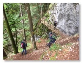 UNADJUSTEDNONRAW_thumb_b15e