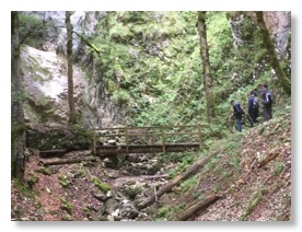 UNADJUSTEDNONRAW_thumb_b279